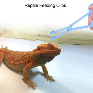PINCE À ÉPILER Atyhao brucelles d'alimentation pour reptiles Plas