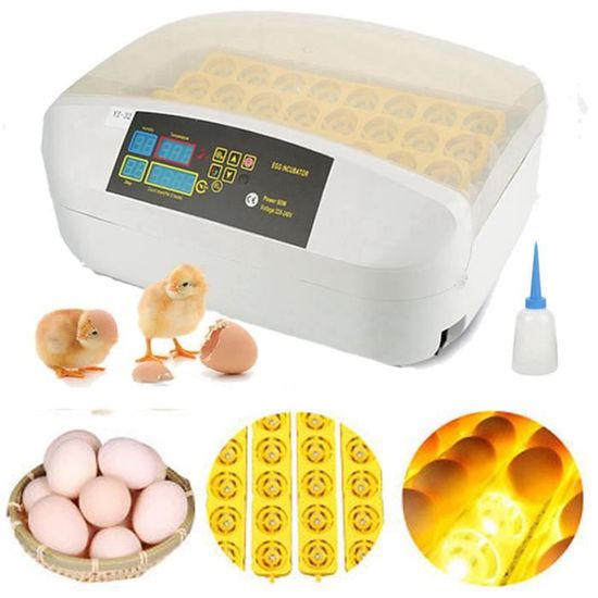 Couveuse Volaille Température Couveuse Automatique œufs Svauoumu - 12 œufs Retournement Auto Contrôle Température Couveuse Volaille Rotation Automatique Couveuse Volaille Température Couveuse Automatique œufs Svauoumu - 12 œufs Retournement Auto Contrôle Température Couveuse Volaille Rotation Automatique