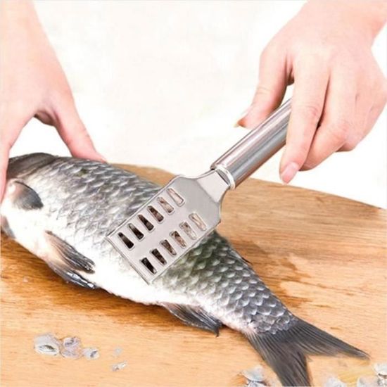 Nettoyeur à Poisson 4 En 1 – Écailleur, Brosse, Ouvre-bouteille, Acier Inox, Pour Enlever Les écailles Facilement Et Rapidement