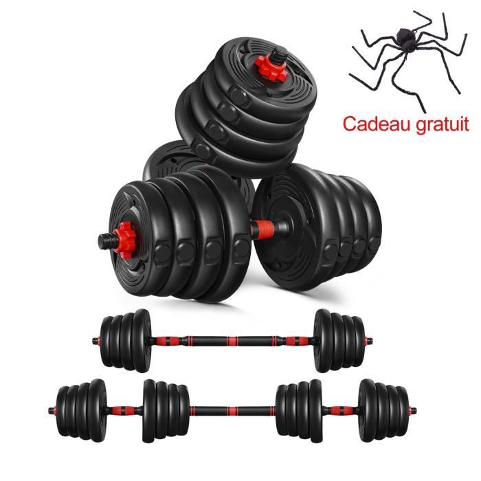 Lot de 2 Haltères 30kg - Paire d'haltères Dumbbell Musculation Fitness Homme et Femme - Noir