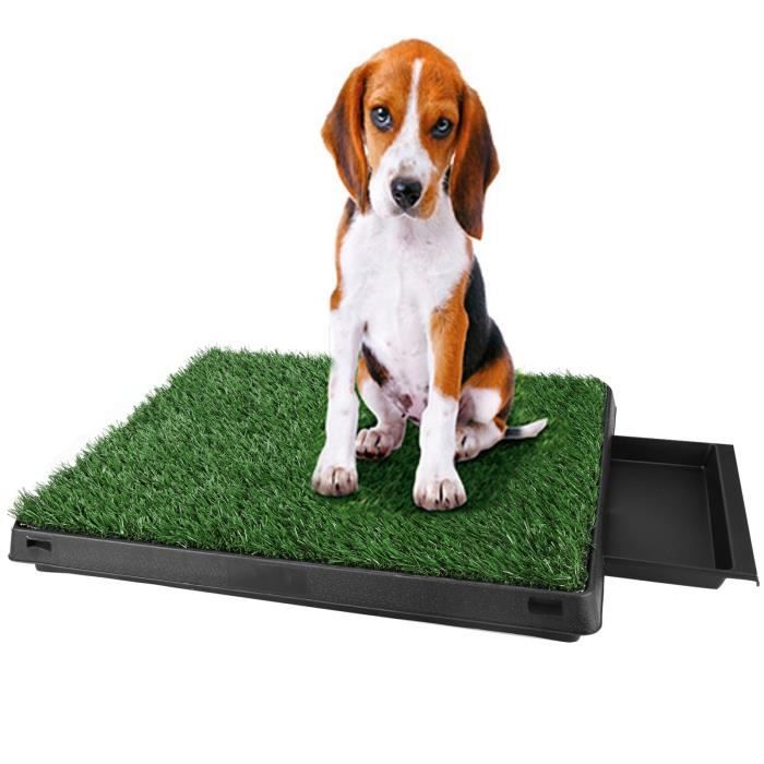 Tapis propreté alèse animaux Pet parc chien pot d'intérieur Grass Mat formation Pad pot toilette
