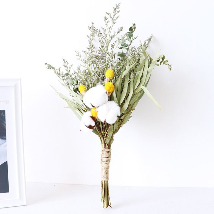 20 Pièces Billy Balls Fleurs Séchées Jaune Billy Button Balles Plante Fleurs Séchées Vraies