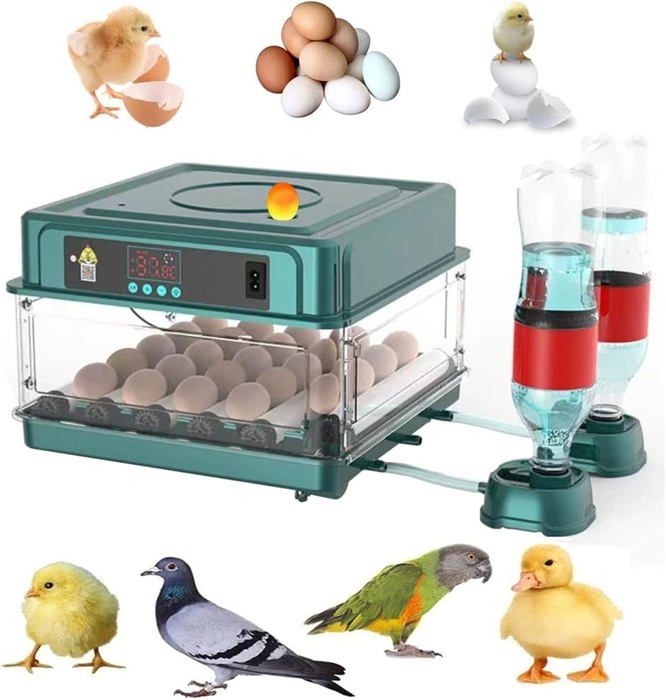 Comparer les prix de Couveuse Oeuf Automatique 24 Oeufs,Retournement Automatique des œufs,Incubateur Oeuf Automatique,Contrôle de Température et