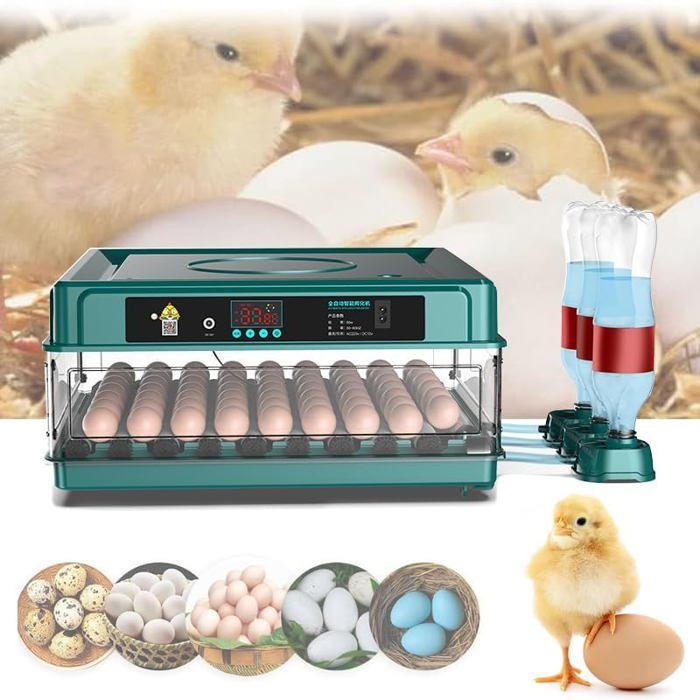 Couveuses Pour œœufs De Volailles Couveuse Automatique 24 Œufs - Incubateur Retournement Auto Écran Tactile Appareil éclosion Professionnel Couveuses Pour œœufs De Volailles Couveuse Automatique 24 Œufs - Incubateur Retournement Auto Écran Tactile Appareil éclosion Professionnel
