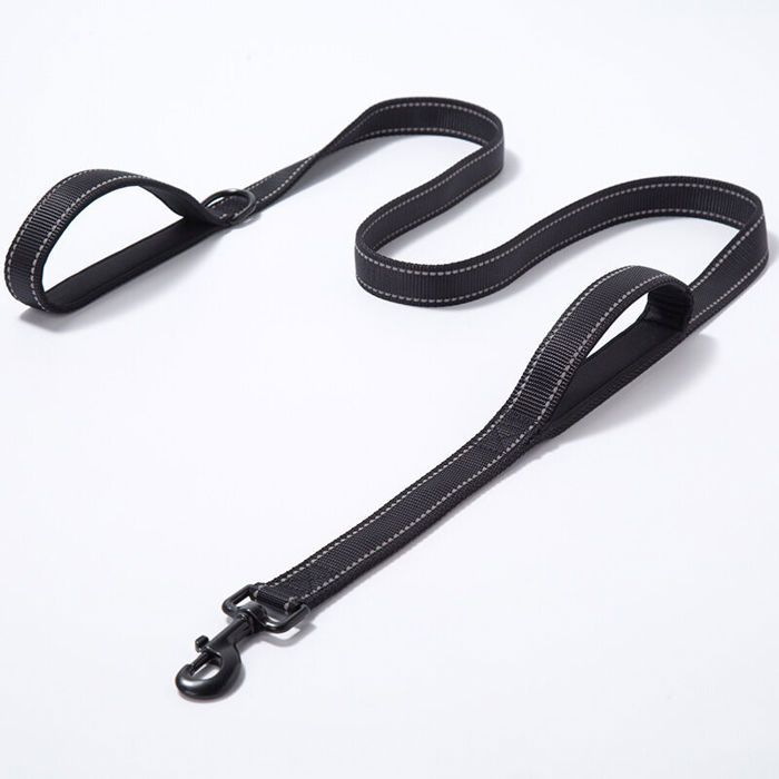 Laisse pour chien - OKZ - 15 m - double poignée rembourrée - nylon réfléchissant - promenade