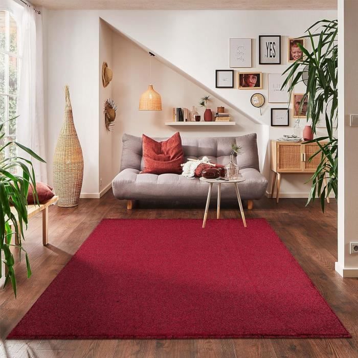 Tapis Moderne Rouge 160x230 Cm - Poil Ras, Doux - Pour Salon Ou Chambre