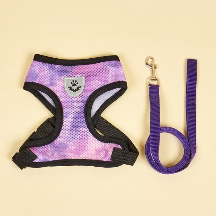 Gradient Breathable Dog Harness Leash Set Soft Pet Chest Strap Small