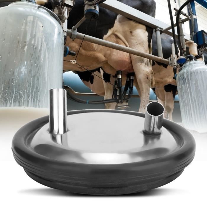 Bidon De Lait, 25L Pot À Lait Acier Inoxydable 304 Seau À Lait Seau À Vin Bouteille Baril De Pétrole Boîte À Thé Avec Couvercle Scellé En Silicone Stockage Liquide (33x44cm Bidon De Lait, 25L Pot À Lait Acier Inoxydable 304 Seau À Lait Seau À Vin Bouteille Baril De Pétrole Boîte À Thé Avec Couvercle Scellé En Silicone Stockage Liquide (33x44cm