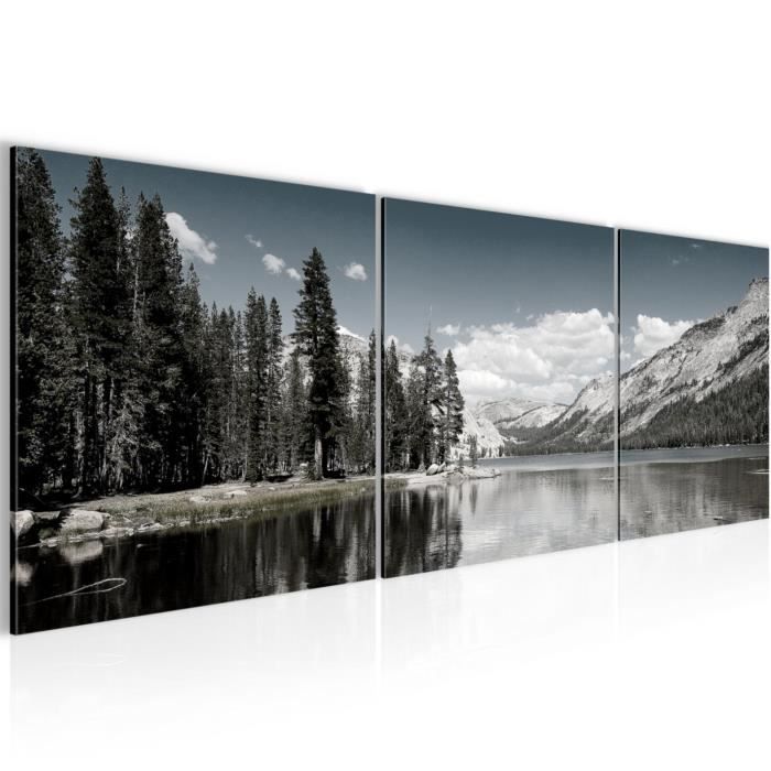 Tableau Decoration Murale Montagne Achat Vente Pas Cher