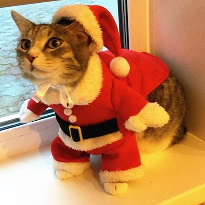 Vetement chat noel store