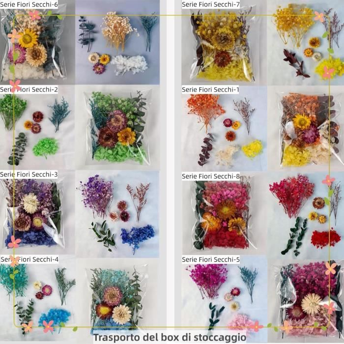 Kit De 126 Fleurs Séchées Pressées - Pour Résine, Bijoux, Scrapbooking Et Décoration Créative