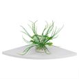 Get Wallpaper 3 Couche Etageres Murales D Angle Etagere Flottante De Rangement Desktop Wallpaper
