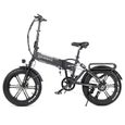 Vélo électrique SAMEBIKE XWLX09 20 pouces gros pneu 500W tout Terrain-2