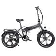 Vélo électrique SAMEBIKE XWLX09 20 pouces gros pneu 500W tout Terrain-3