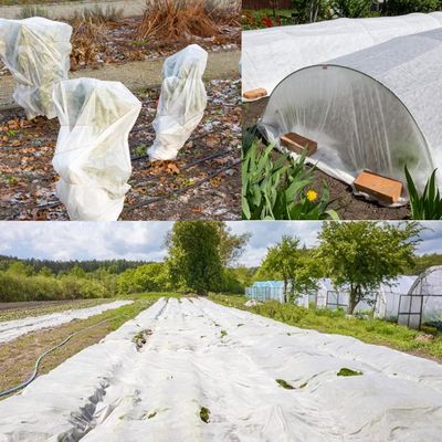 Voile Hivernage Plantes 2x5m 35g/m² - Housse Anti-Gel Thermique Respirante, Protection Hiver Pour Arbustes Fleurs Légumes Extérieur
