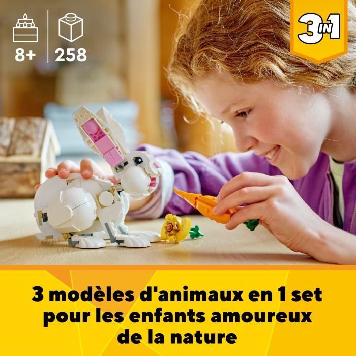 LEGO Creator 3en1 Perroquet Exotique - Grenouille - Set de Poissons - 31136
