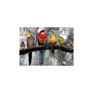 PUZZLE Puzzle Oiseaux Dans La Jungle - 500 Pieces - Educa