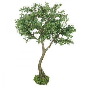 FLEUR ARTIFICIELLE Schefflera luseana bonsaï artificiel 190cm