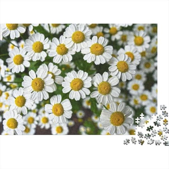 PUCE SOLITAIRE FLEUR/BALLS XS main image 1
