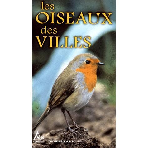 LES OISEAUX DES VILLES