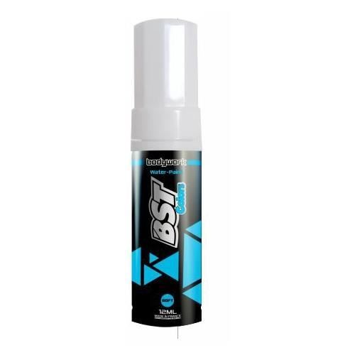 Stylo Retouche FORD MTS - GRAU 12Ml Solvanté