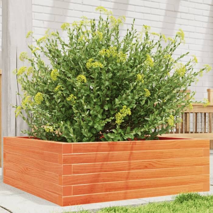 vidaXL Jardinière cire marron 70x70x23 cm bois de pin massif jardinière dextérieur bac à fleurs boîte à plantes 847195