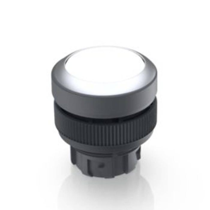 RAFI 1.30.240.021/1000 RAFIX 22 QR Bouton-poussoir lumineux à rappel à ...