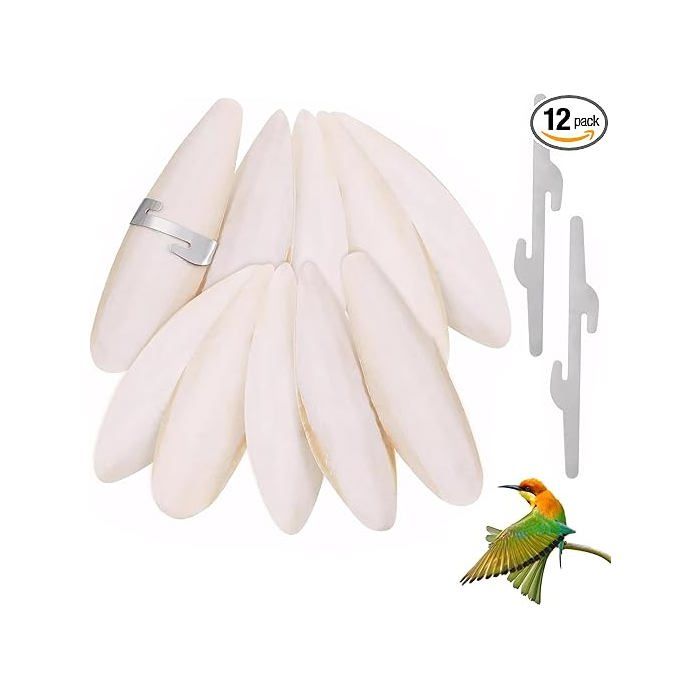 Lot de 10 bols à sépia pour tortues - 9-12 cm - Avec support - Pour tortues - Accessoires pour reptiles - Pour animaux de MANGEOIRE