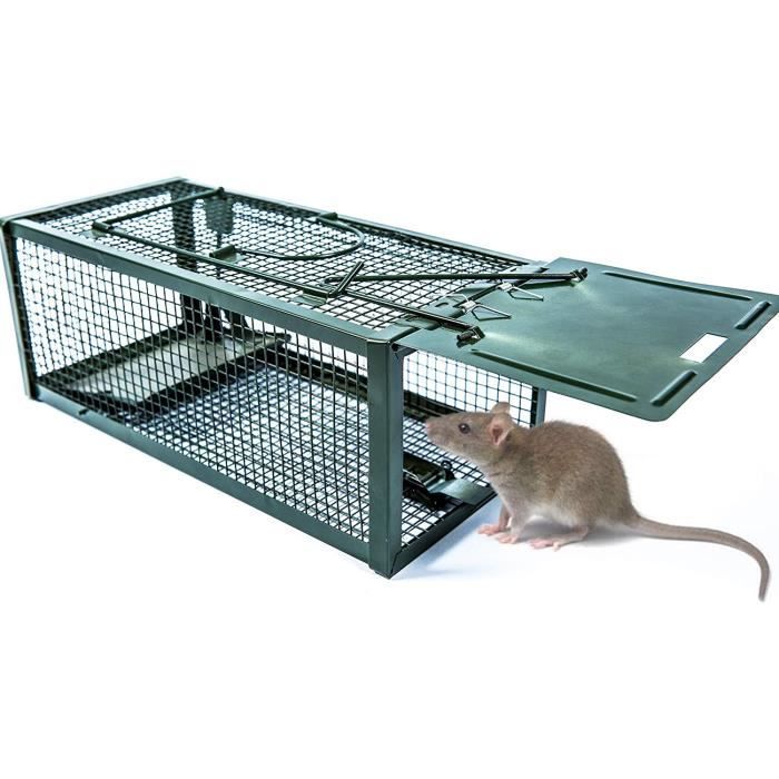 PawHut Piège de capture cage piège à souris vivant deux entrées et