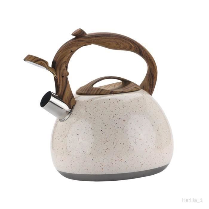 Bouilloire à Thé Vintage En émail - Motif Floral - 2,5 L - Poignée Froide - Compatible Toutes Plaques (induction, Gaz, électrique) - 2