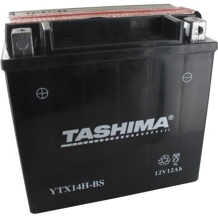Batterie plomb étanche TASHIMA YTX14HBS 12 Volts 12A sans entretien Greenstar