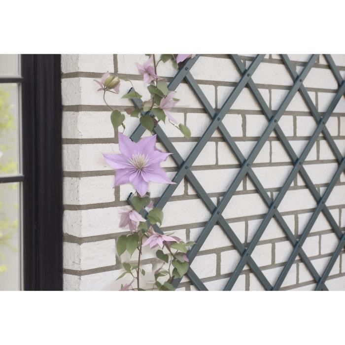 Treillis extensible NATURE En plastique 50 x 150 cm
