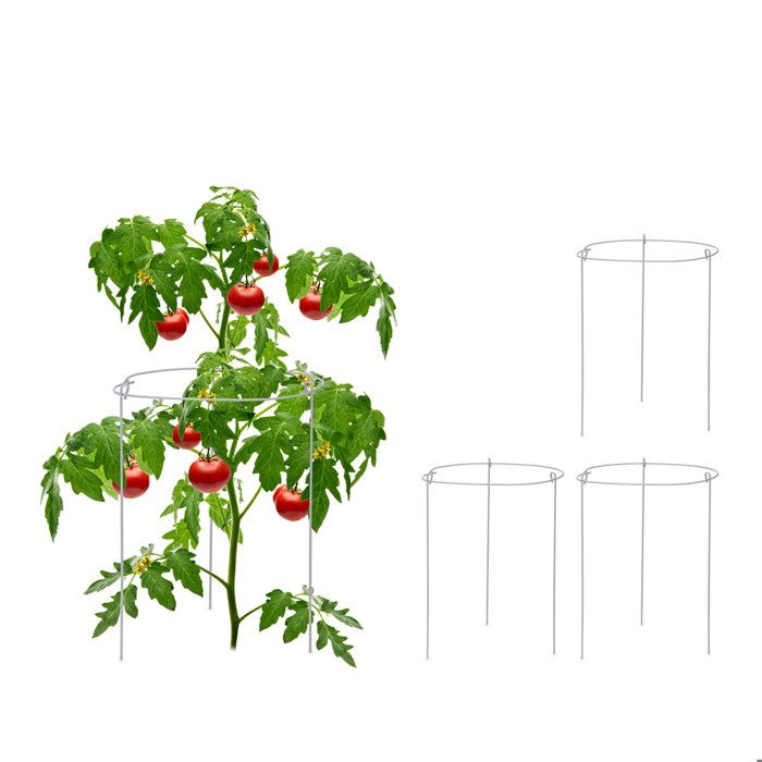 Lot De 6 Tuteurs Pour Tomates - 76 Cm De Haut, 3 Anneaux Réglables, Gris (métal/plastique)