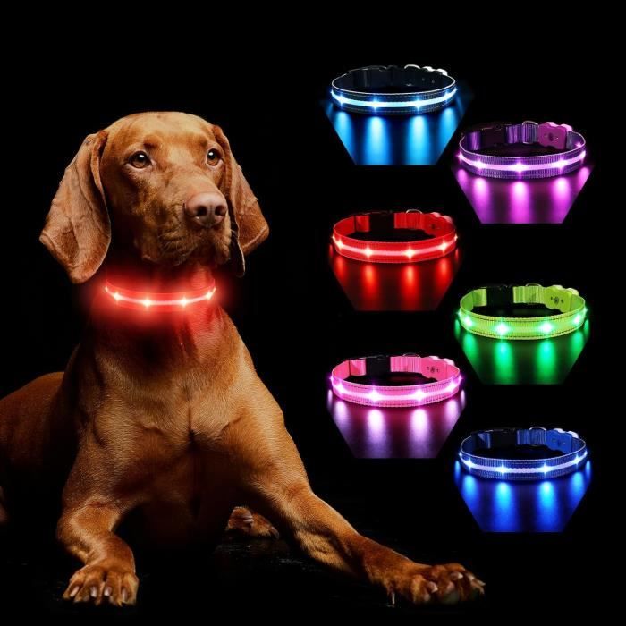 Comparer les prix de MASBRILL Collier Lneux Chien, Collier Chien LED Rechargeable avec 7 RGB Couleurs 8 Modes D'éclairage, Réglable et Etanche Cligno21