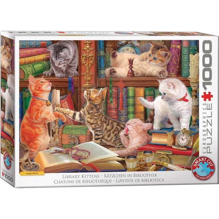 Puzzle 1000 pièces : Bibliothèque de l'Alchimiste - Eeboo - Rue des Puzzles
