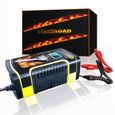 Chargeur de batterie réparateur charger  battery voiture auto bateau moto quad 12v pince croco double cable  FIREROAD®-0