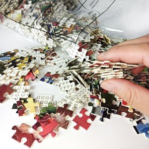 PUZZLE Drfeify puzzles de 1000 pièces Puzzles de Noël 100