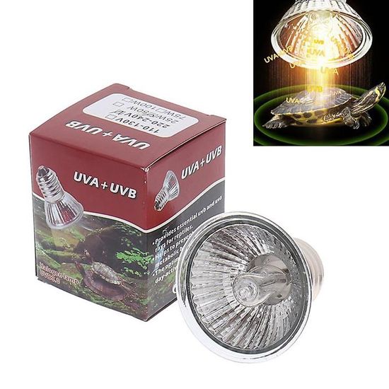 Lot De 4 Ampoules Chauffantes UVA/UVB E27 25W Pour Terrarium - Pour Tortues, Lézards, Serpents, Reptiles, Chauffage Rapide
