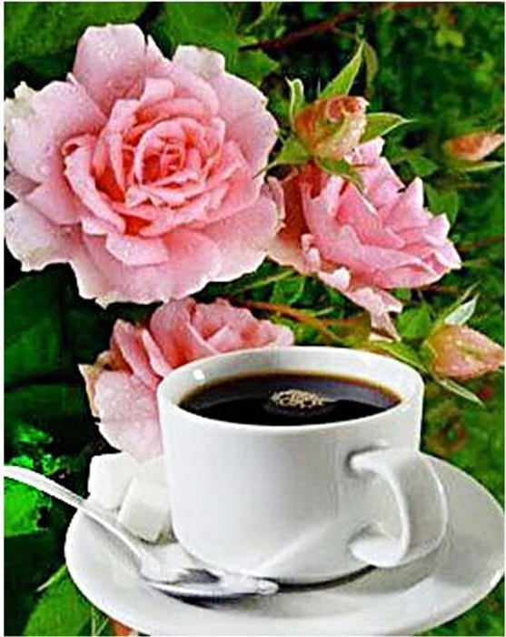 Diamond Painting Anubis Broderie Diamant Kit Complet, Peinture Diamant Adultes Enfants, 5D Kit Diamant Painting Full Accessoires, DIY Diamant Strass Point De Croix Pour Décoration Murale 160x80 Cm R24