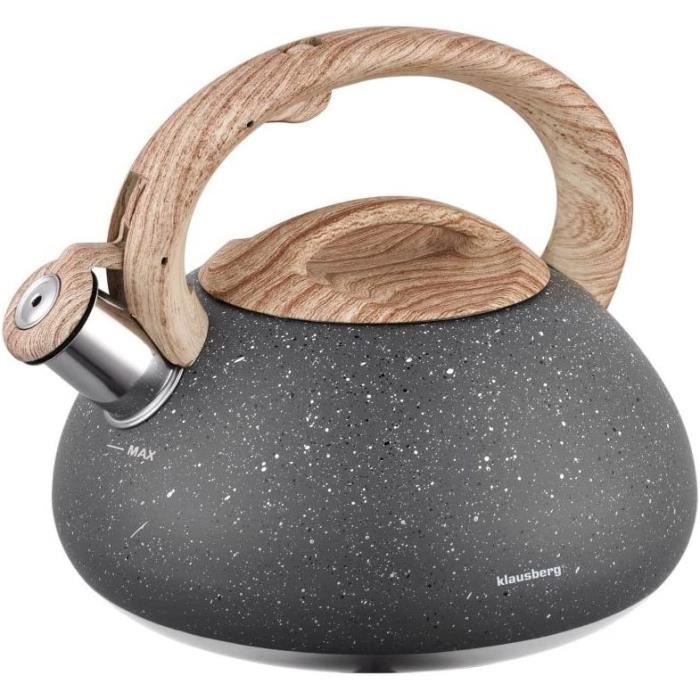 Théière En Acier Inoxydable 1.5L Avec Infuseur - Filtre Intégré - Design Élégant Noir - Pour Maison/Café