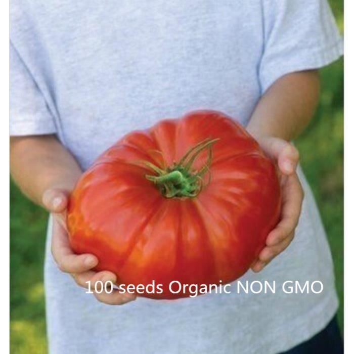 100 pcs tomate geante bonsai bio alimentaire bonsai legumes facile de bonsai pot plante biologique organique non ogm cdiscount jardin