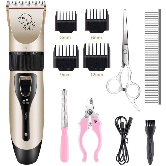 Tondeuse Professionnelle - RAIDEN TRADE FR - Rechargeable - Silencieuse - 7 Outils Inclus