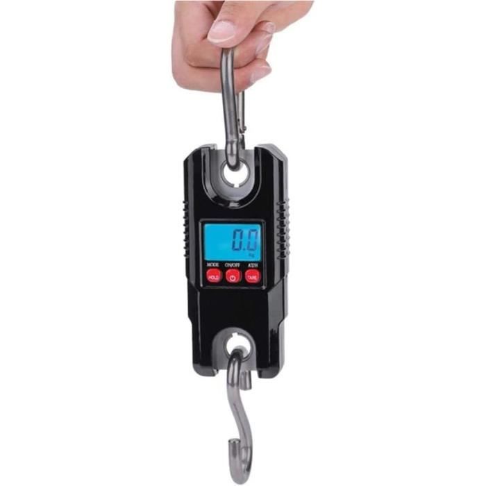 Balance Numérique Nor Mark Pesée 15 Lb – Pour Pêche, Support Tournée Inclus, Comme Neuve
