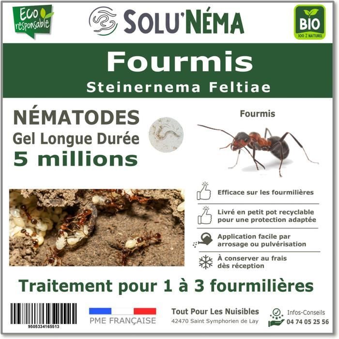 SOLUNEMA - Nématodes SF - fourmis - 5 millions Nématodes pour 1 à 3 fourmilières ou jusqu'à environ 10m²