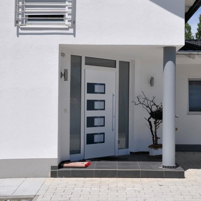 vidaXL Porte d'entrée 100x210 cm Aluminium et PVC