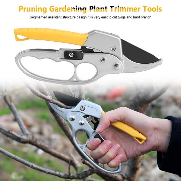 Sécateur Professionnel En Acier Titane | Pour Jardin, Rosiers, Arbres | Taille Environ 18 Cm | Léger Et Ergonomique
