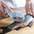 Ecailleur à poisson,Râpe de cuisine à enlever rapidement couteau à poisson, brosse en peau de poisson, pour racler, - Type 3-1