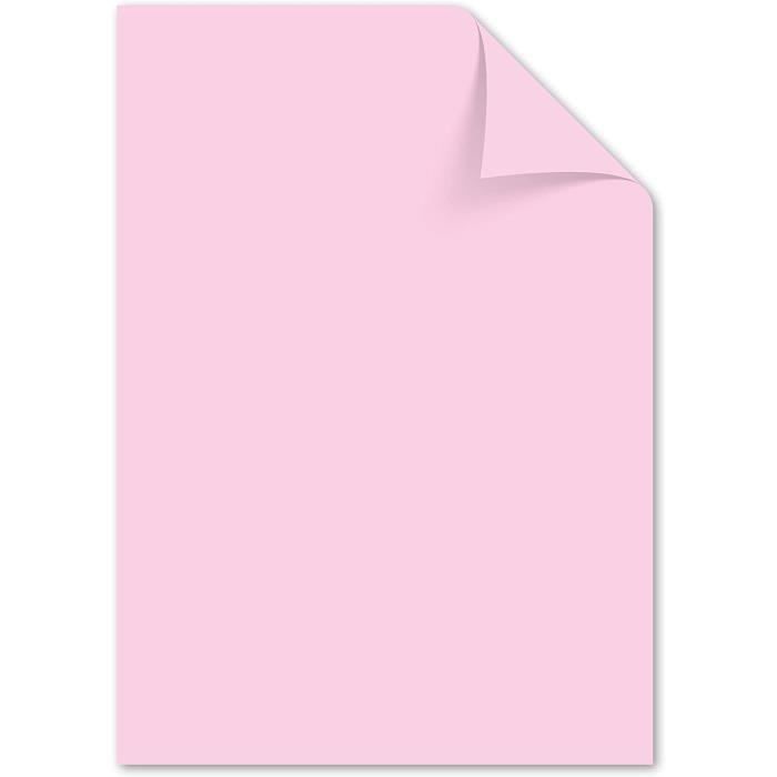 Papier de couleur rose pastel DIN A4-160g-m² FSC mix – Lot de 50