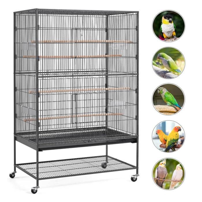 Sitemapcdatahttpswen2windecoocomcage Oiseau Sur Pied Occasion