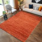 Tapis Salon Shaggy - Mylan - Terra - 160 x 230 cm - 100% Polypropylène - CARPETTEX